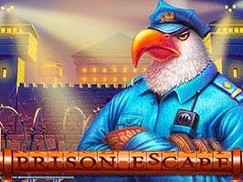 Prison Escape